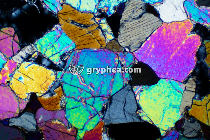 Péridotite LPA x10 - gryphea.com